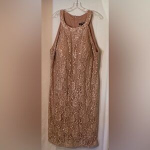 Roz & Ali Blush Lace Sequin Midi Dress